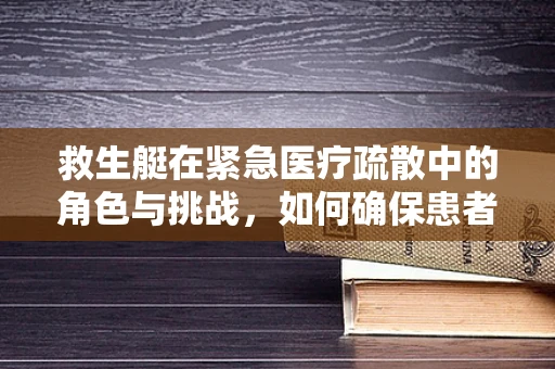 救生艇在紧急医疗疏散中的角色与挑战，如何确保患者安全转移？