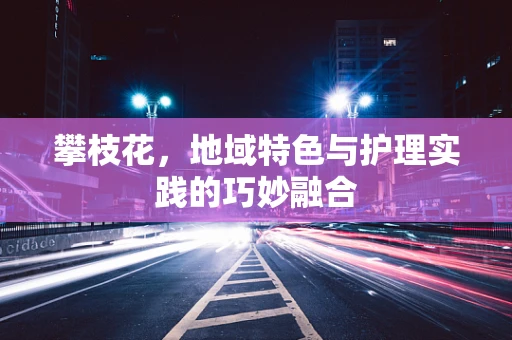 攀枝花，地域特色与护理实践的巧妙融合