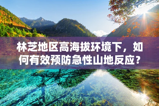 林芝地区高海拔环境下，如何有效预防急性山地反应？