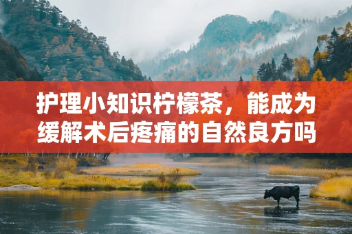 护理小知识柠檬茶，能成为缓解术后疼痛的自然良方吗？