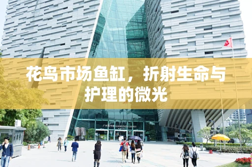 花鸟市场鱼缸，折射生命与护理的微光