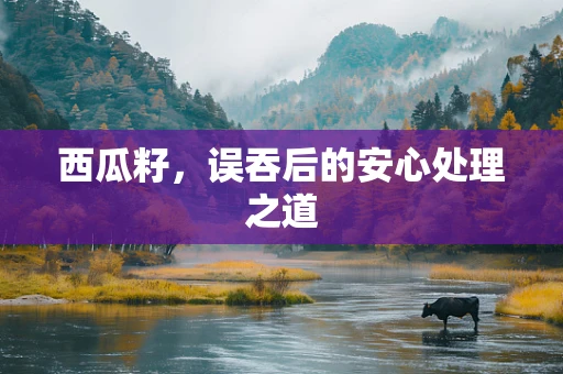 西瓜籽，误吞后的安心处理之道