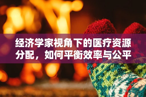 经济学家视角下的医疗资源分配，如何平衡效率与公平？