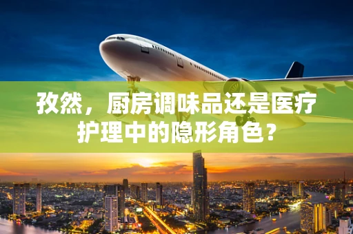 孜然，厨房调味品还是医疗护理中的隐形角色？