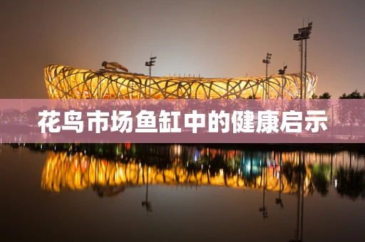 花鸟市场鱼缸中的健康启示
