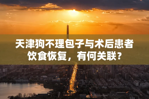 天津狗不理包子与术后患者饮食恢复，有何关联？