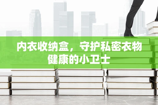 内衣收纳盒，守护私密衣物健康的小卫士