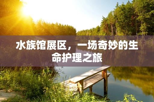 水族馆展区，一场奇妙的生命护理之旅