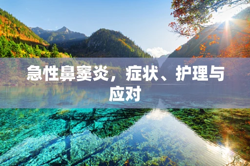 急性鼻窦炎，症状、护理与应对