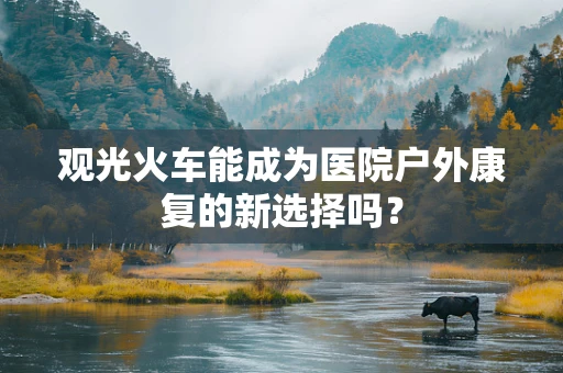 观光火车能成为医院户外康复的新选择吗？