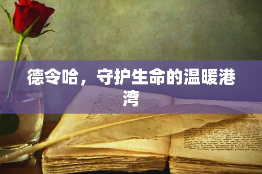 德令哈，守护生命的温暖港湾