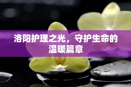 洛阳护理之光，守护生命的温暖篇章