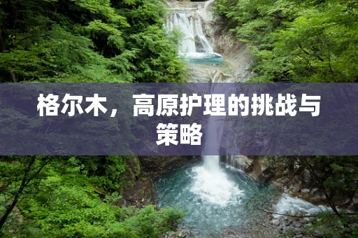 格尔木，高原护理的挑战与策略