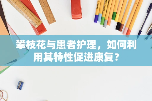 攀枝花与患者护理，如何利用其特性促进康复？