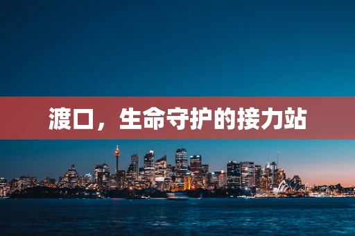 渡口，生命守护的接力站
