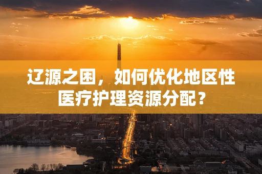 辽源之困，如何优化地区性医疗护理资源分配？