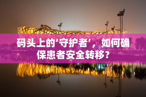 码头上的‘守护者’，如何确保患者安全转移？