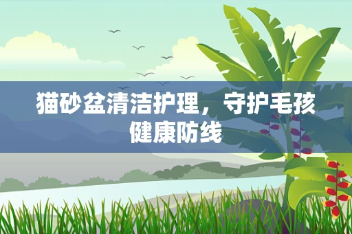 猫砂盆清洁护理，守护毛孩健康防线