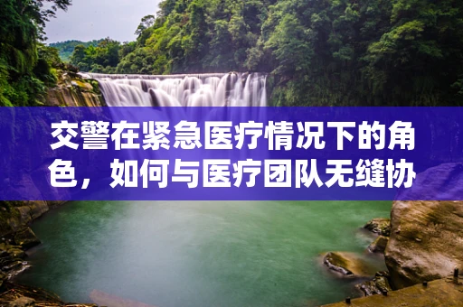 交警在紧急医疗情况下的角色，如何与医疗团队无缝协作？
