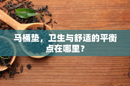 马桶垫，卫生与舒适的平衡点在哪里？