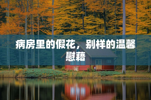 病房里的假花，别样的温馨慰藉