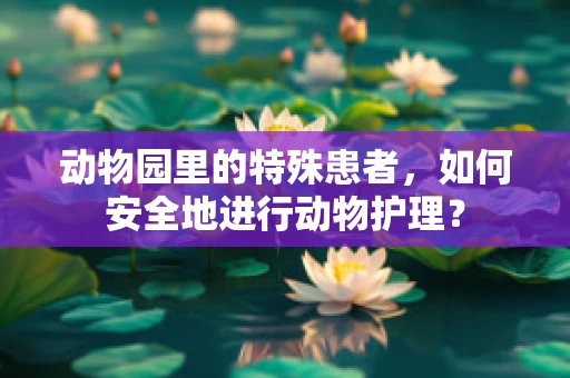 动物园里的特殊患者，如何安全地进行动物护理？