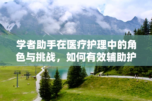 学者助手在医疗护理中的角色与挑战，如何有效辅助护理决策？