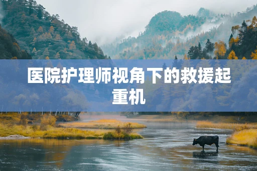 医院护理师视角下的救援起重机
