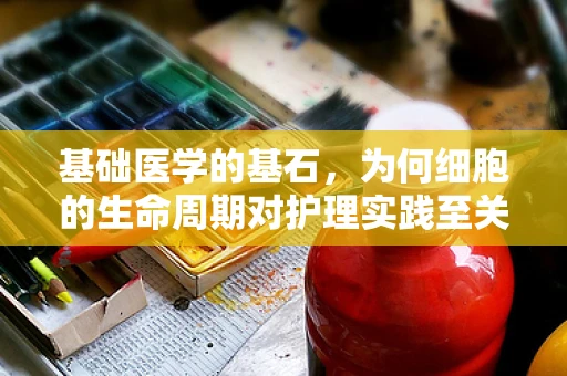 基础医学的基石，为何细胞的生命周期对护理实践至关重要？