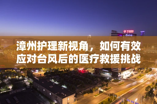 漳州护理新视角，如何有效应对台风后的医疗救援挑战？