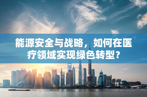 能源安全与战略，如何在医疗领域实现绿色转型？