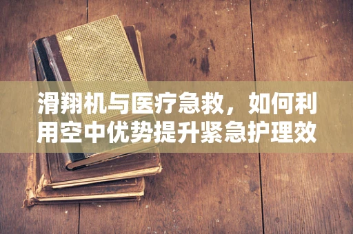 滑翔机与医疗急救，如何利用空中优势提升紧急护理效率？