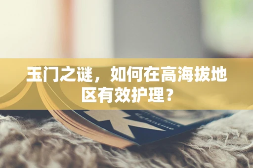 玉门之谜，如何在高海拔地区有效护理？