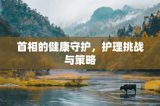 首相的健康守护，护理挑战与策略