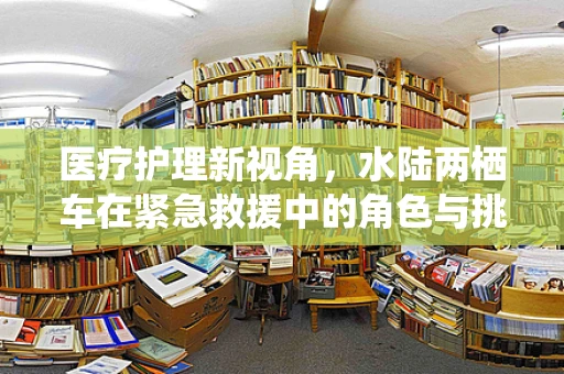 医疗护理新视角，水陆两栖车在紧急救援中的角色与挑战