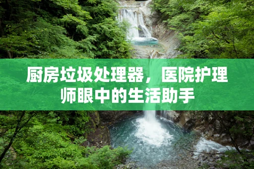 厨房垃圾处理器，医院护理师眼中的生活助手