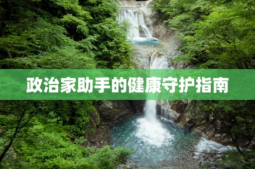 政治家助手的健康守护指南