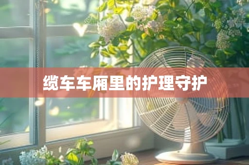 缆车车厢里的护理守护