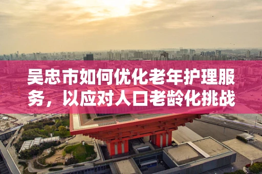 吴忠市如何优化老年护理服务，以应对人口老龄化挑战？