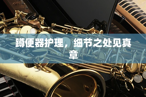 蹲便器护理，细节之处见真章
