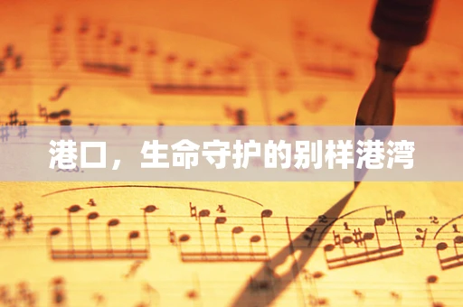 港口，生命守护的别样港湾