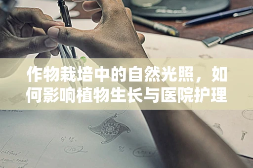 作物栽培中的自然光照，如何影响植物生长与医院护理的类比？
