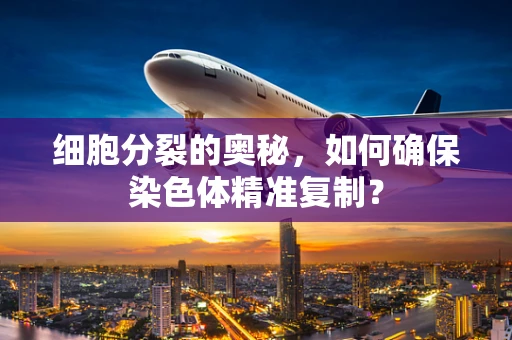 细胞分裂的奥秘，如何确保染色体精准复制？
