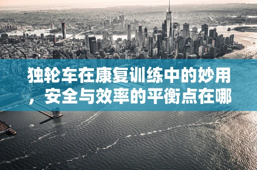 独轮车在康复训练中的妙用，安全与效率的平衡点在哪里？