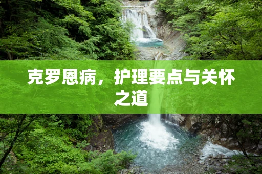 克罗恩病，护理要点与关怀之道