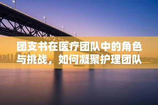 团支书在医疗团队中的角色与挑战，如何凝聚护理团队的力量？