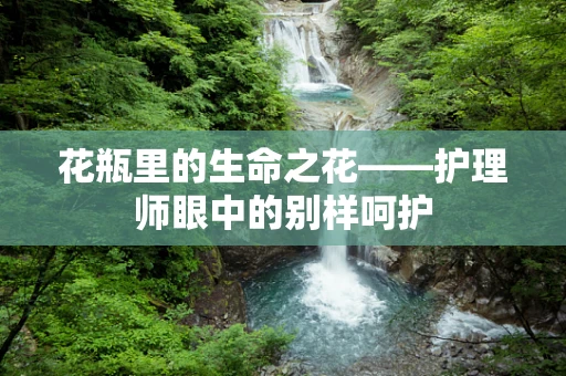 花瓶里的生命之花——护理师眼中的别样呵护