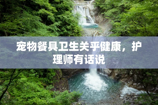 宠物餐具卫生关乎健康，护理师有话说
