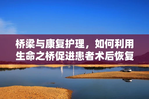 桥梁与康复护理，如何利用生命之桥促进患者术后恢复？