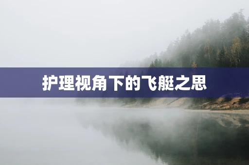 护理视角下的飞艇之思